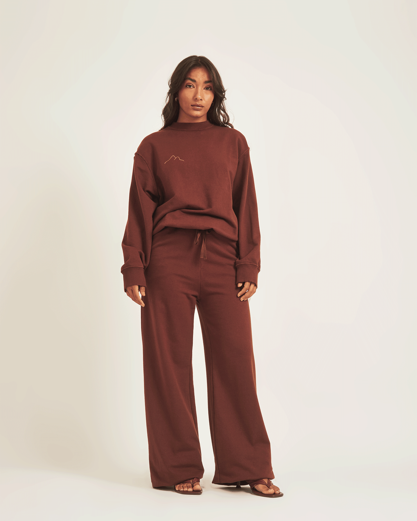 BROWN PANTS