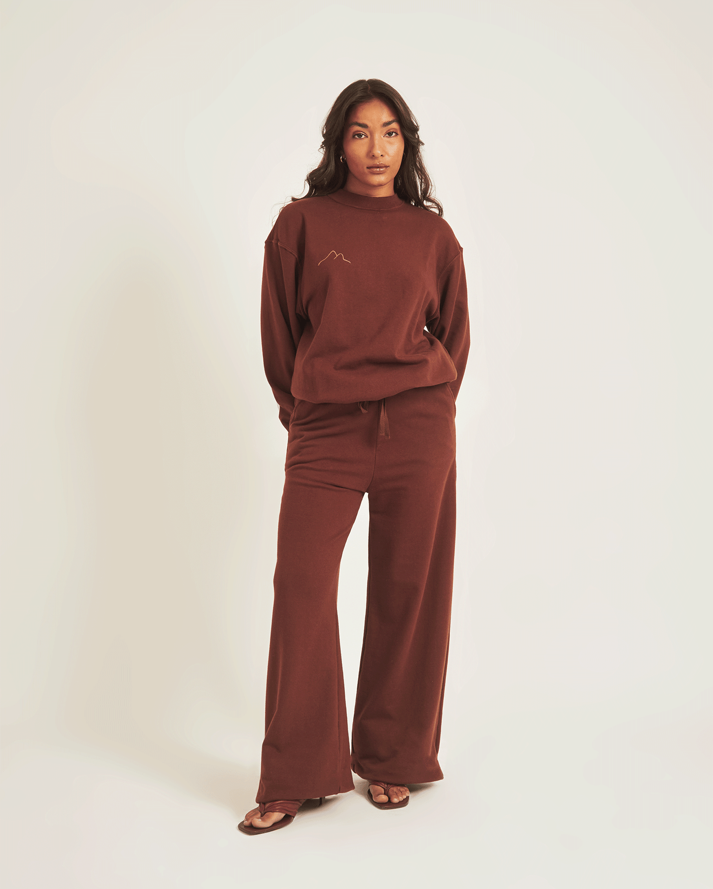 BROWN PANTS
