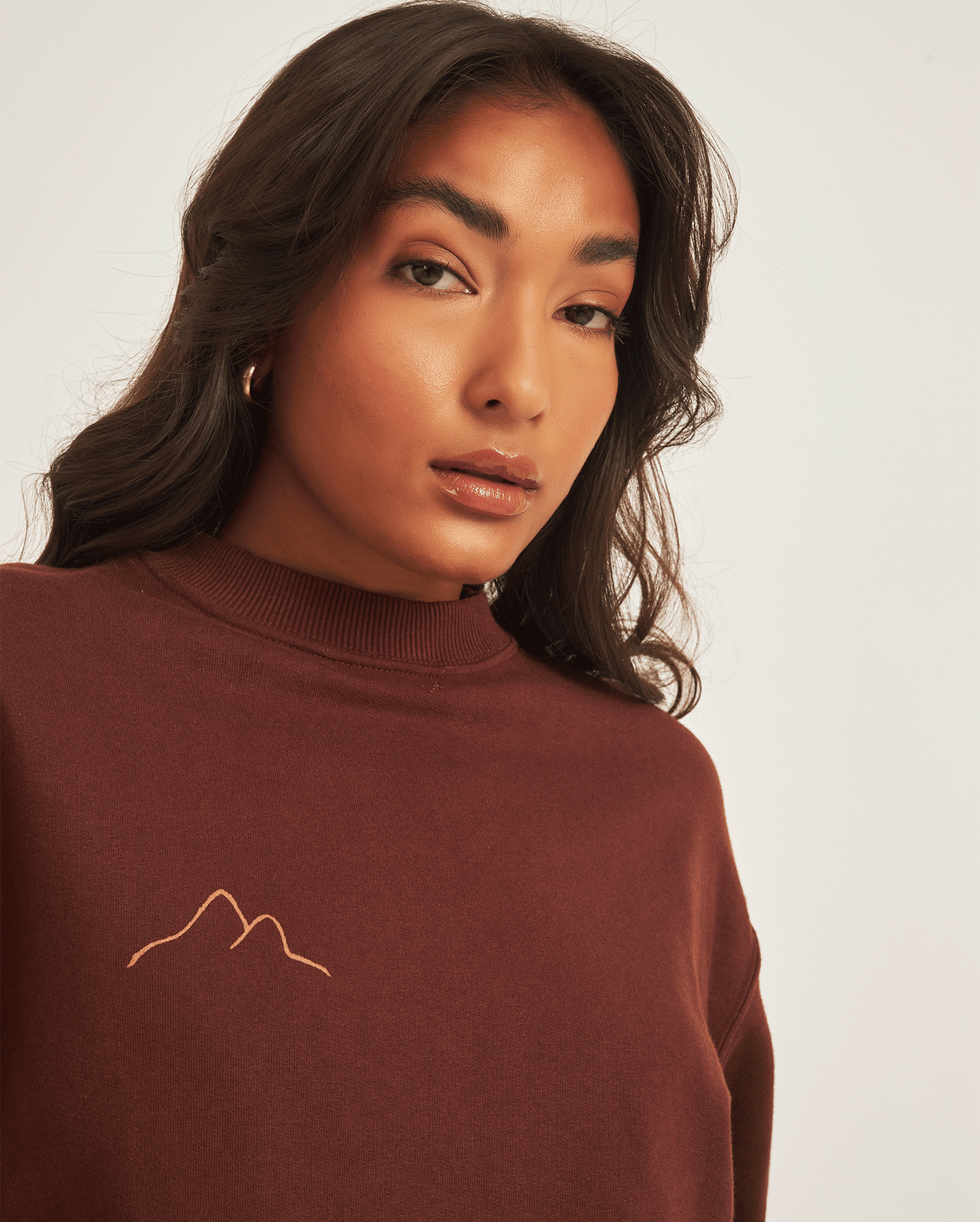 BROWN SWEATSHIRT