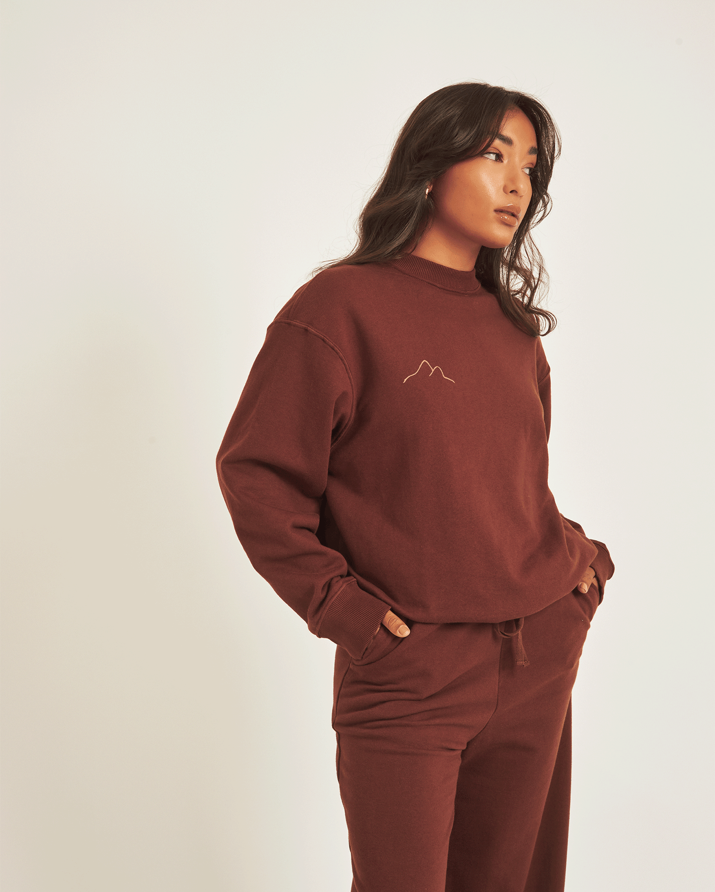 BROWN SWEATSHIRT