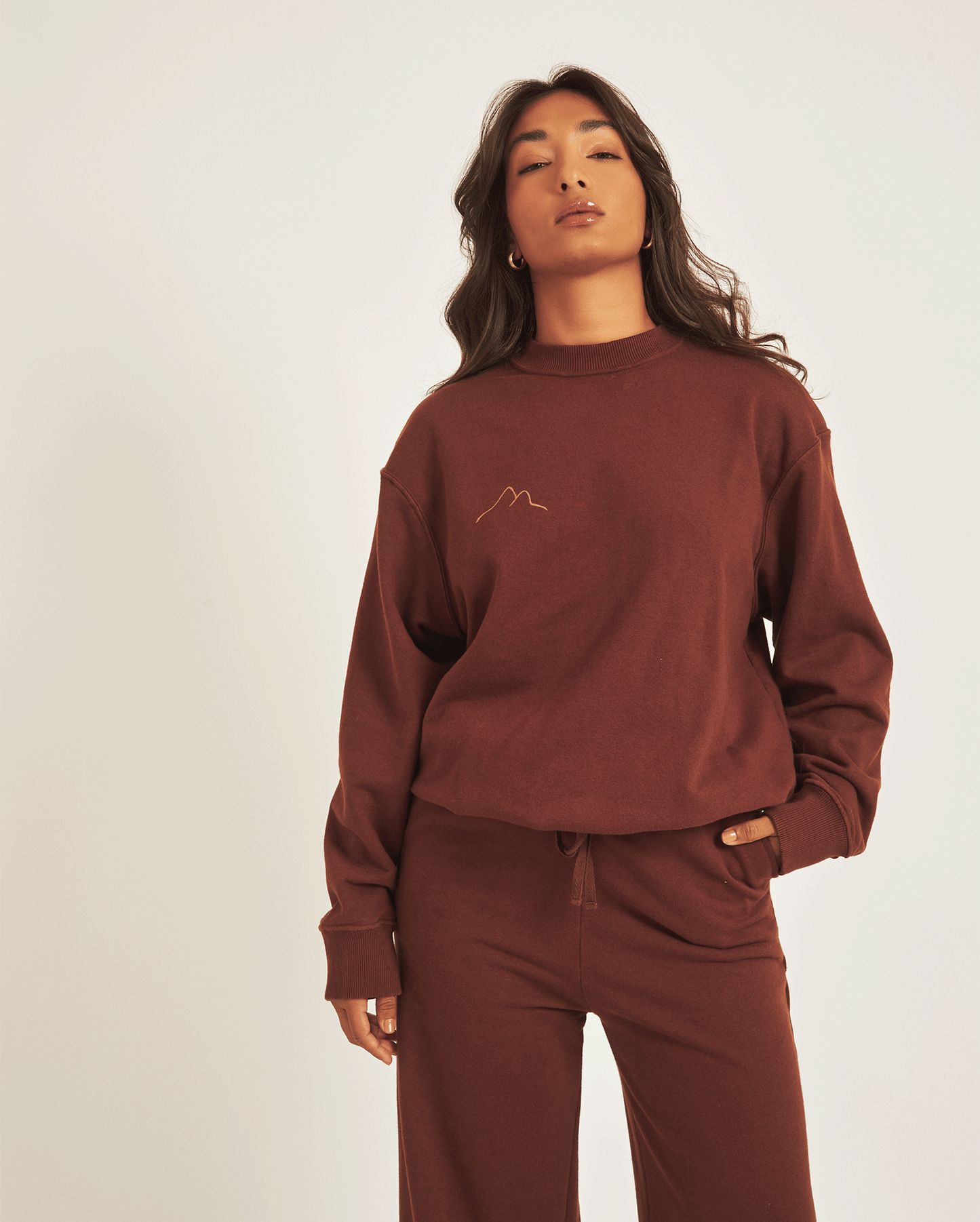BROWN SWEATSHIRT