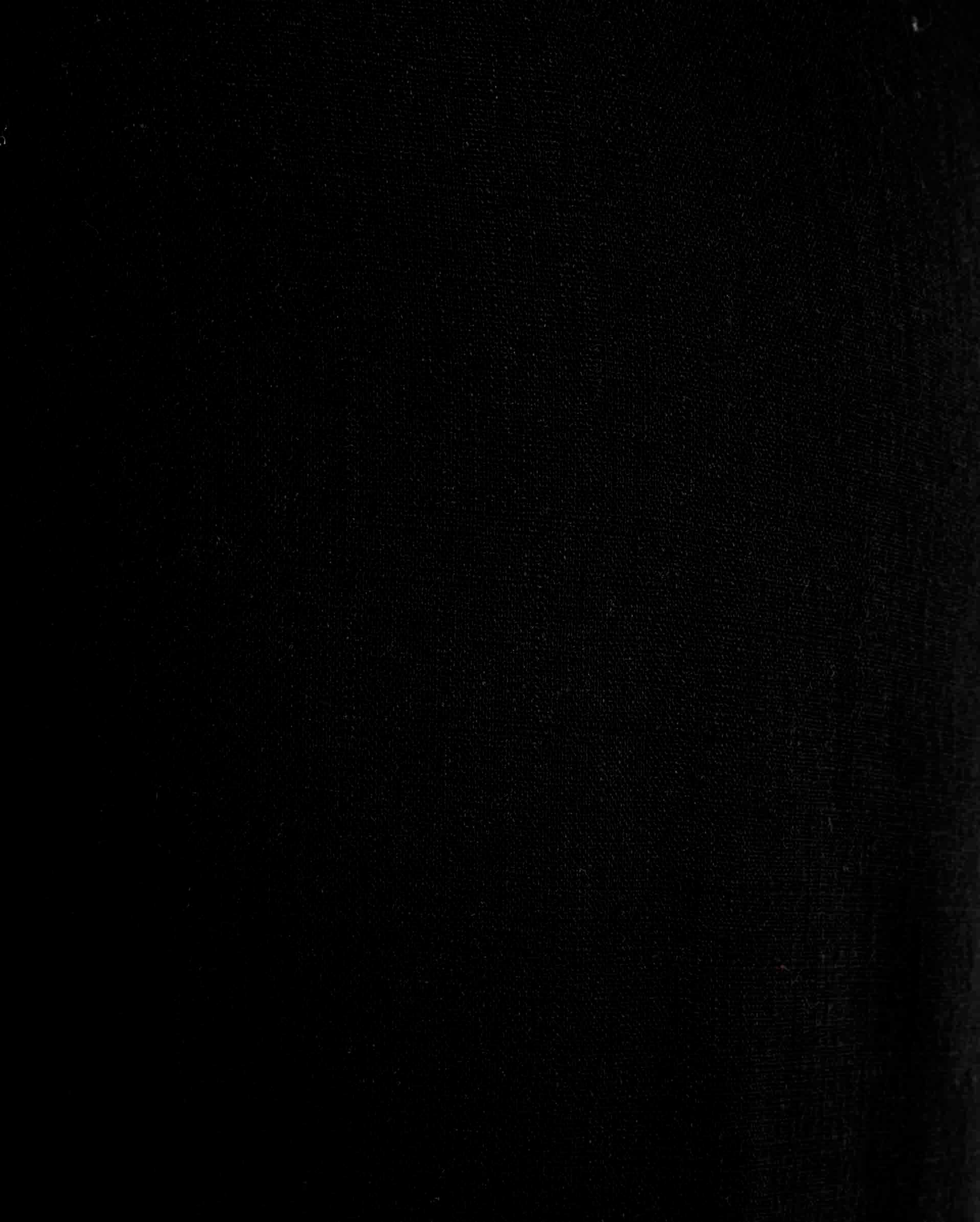 MACACÃO PRETO
